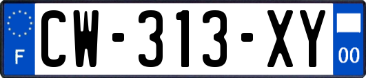 CW-313-XY