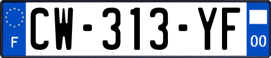 CW-313-YF