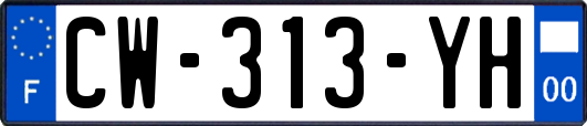 CW-313-YH