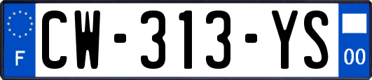 CW-313-YS