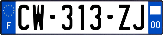 CW-313-ZJ