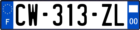 CW-313-ZL