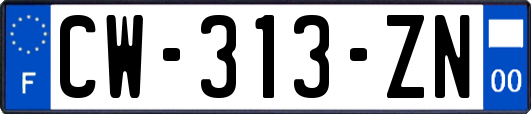 CW-313-ZN