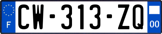 CW-313-ZQ