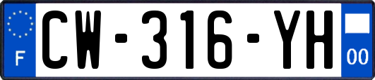 CW-316-YH