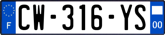 CW-316-YS