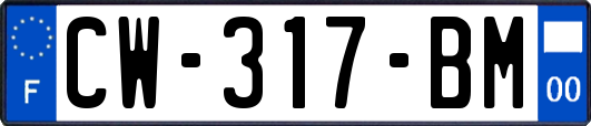 CW-317-BM