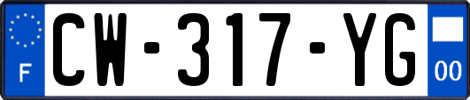 CW-317-YG