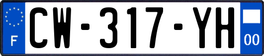 CW-317-YH