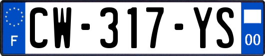 CW-317-YS