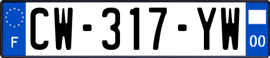 CW-317-YW