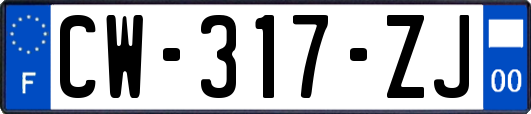 CW-317-ZJ