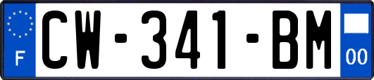 CW-341-BM