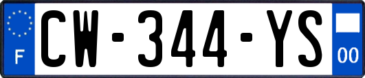 CW-344-YS