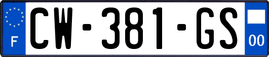 CW-381-GS