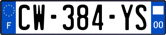 CW-384-YS