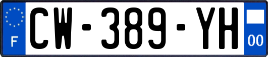 CW-389-YH