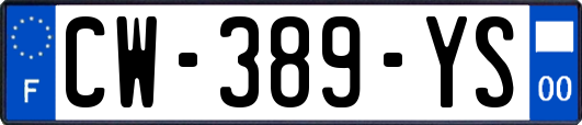 CW-389-YS