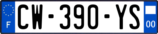 CW-390-YS