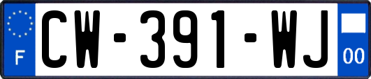 CW-391-WJ