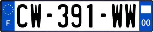 CW-391-WW