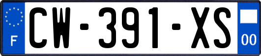 CW-391-XS