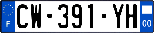 CW-391-YH