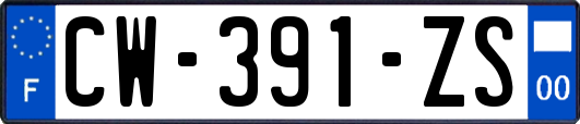 CW-391-ZS