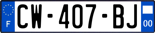 CW-407-BJ