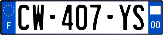 CW-407-YS