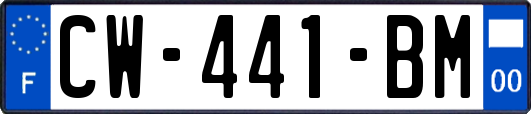 CW-441-BM