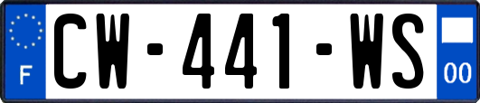 CW-441-WS