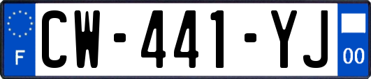 CW-441-YJ