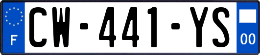 CW-441-YS