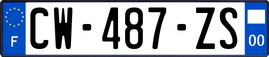 CW-487-ZS