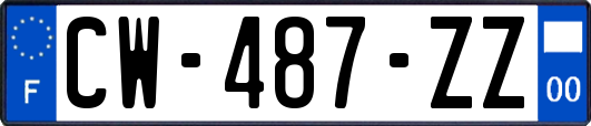 CW-487-ZZ