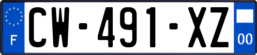 CW-491-XZ