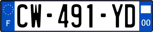 CW-491-YD