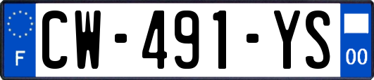 CW-491-YS