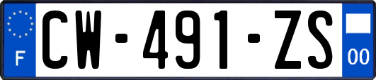 CW-491-ZS