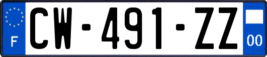 CW-491-ZZ