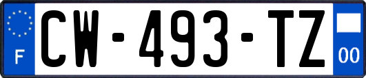 CW-493-TZ