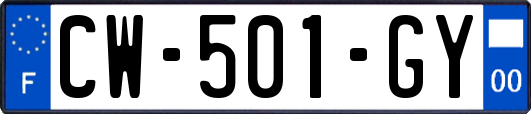 CW-501-GY