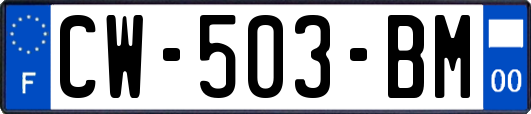 CW-503-BM