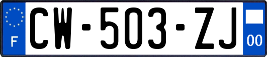 CW-503-ZJ