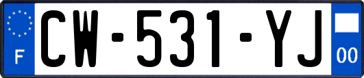 CW-531-YJ