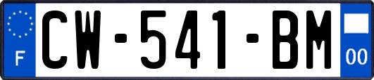 CW-541-BM