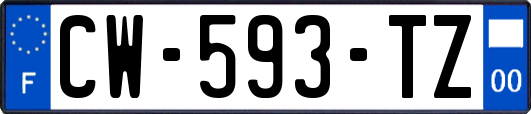 CW-593-TZ