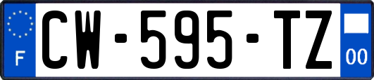 CW-595-TZ