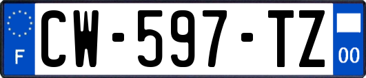 CW-597-TZ